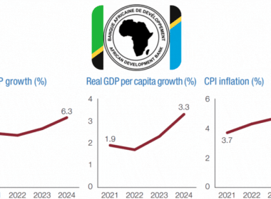 Afdb Tanzania Economic Outlook 2023-2024