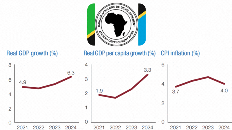 Afdb Tanzania Economic Outlook 2023-2024