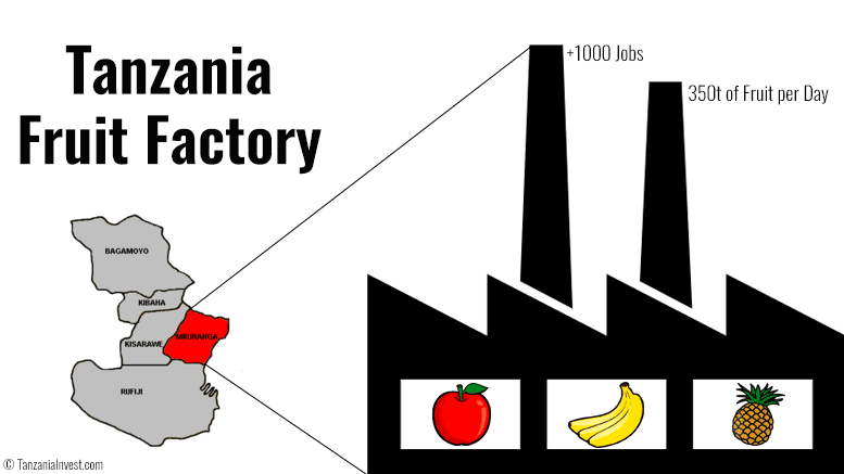 Tanzania fruit factory