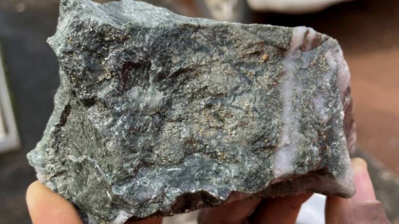 Mineralized Sample at Buckreef Gold Project