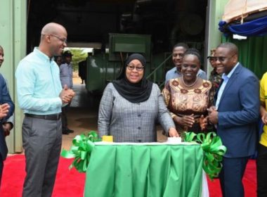 Samia Suluhu Hassan National electricity Grid Kigoma