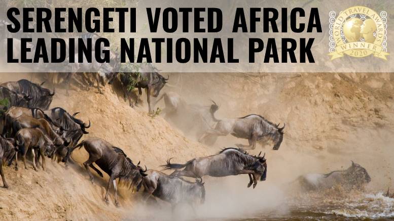 Serengeti Africa Leading National Park 2020