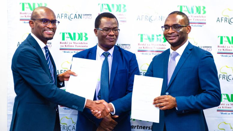 Tanzania AFDB TADB MOU 2021