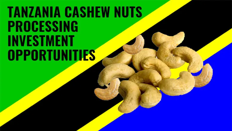 Tanzania cashew nuts investment opportunities