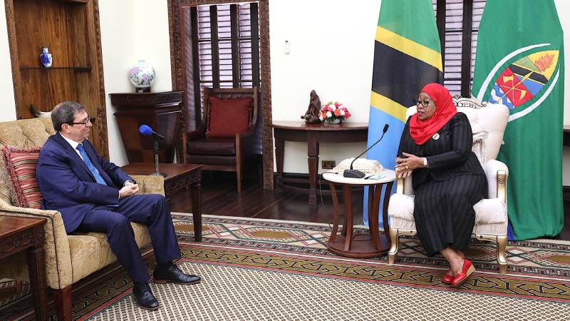 President Hassan of Tanzania with Cuban Minister of Foreign Affairs Rodriguez