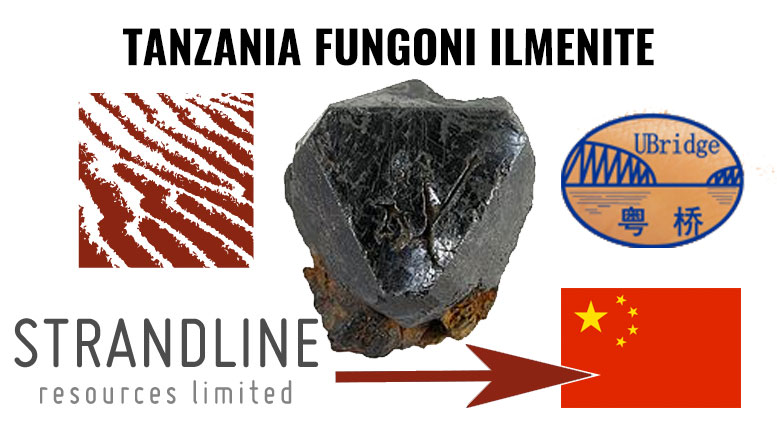 Tanzania Fungoni Ilemnite