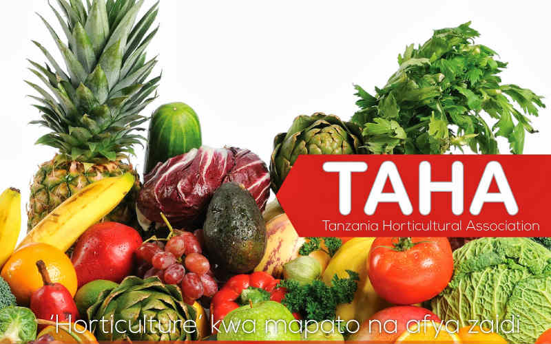 tanzania-horticulture-exports-taha