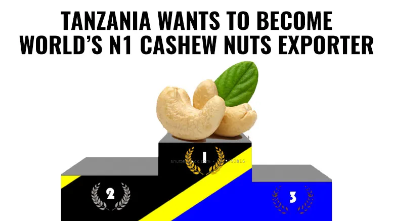 Tanzania aims to become N1 cashew nuts exporter