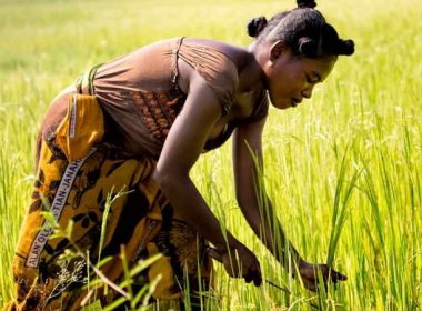 Tanzania Woman in Agriculture