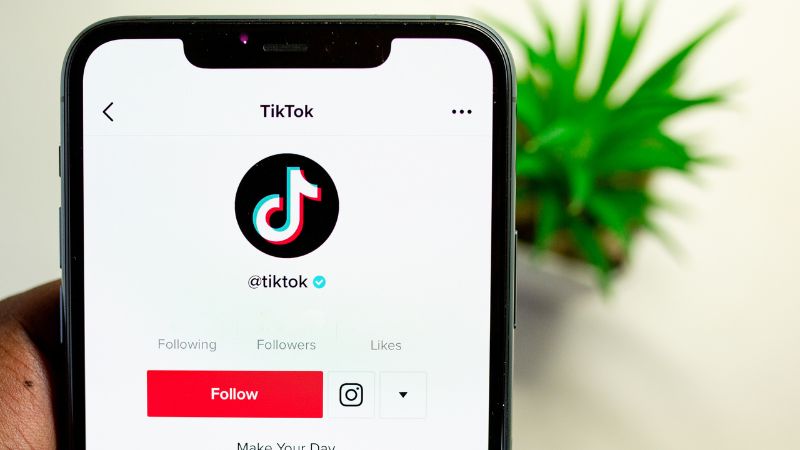 TikTok Tanzania use June 2023