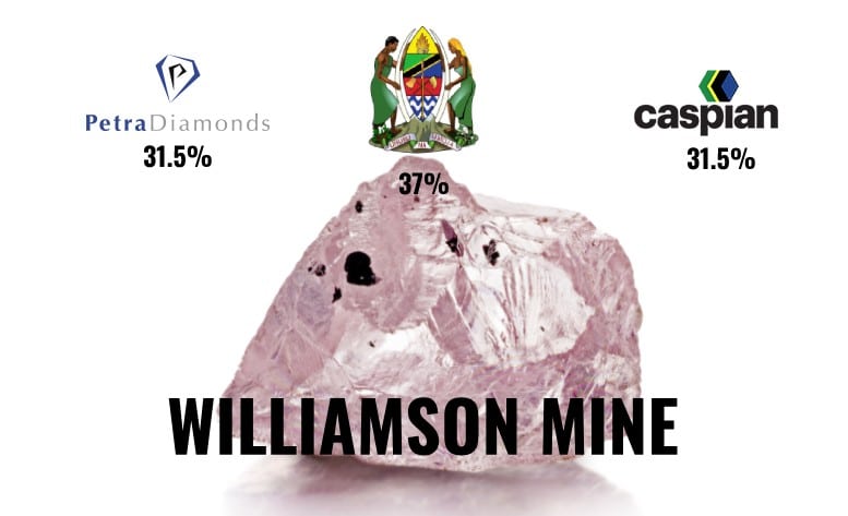 Williamson diamond mine shareholding 2022