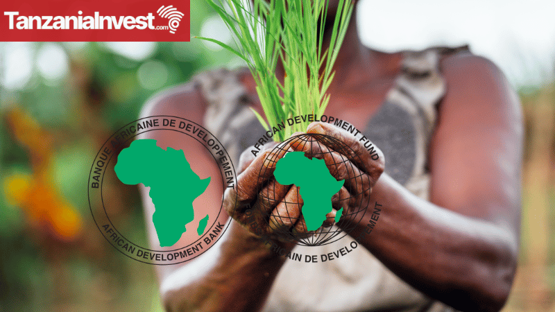 AfDB 2023 Grant for Tanzania Horticulture