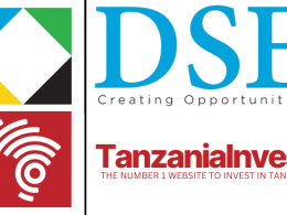DSE Dar es Salaam Stock Exchange & TanzaniaInvest Report