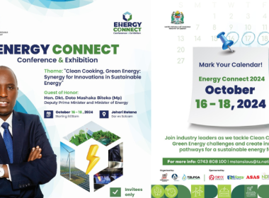 Energy Connect Conference 2024 Tanzania