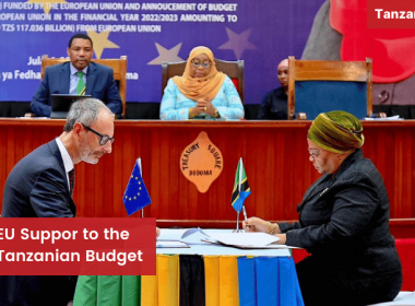 EU Support to Tanzania Budget 2023