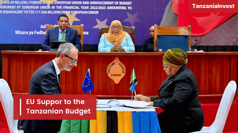 EU Support to Tanzania Budget 2023