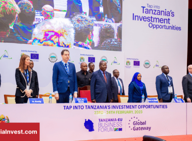 EU-Tanzania Business Forum Day 1