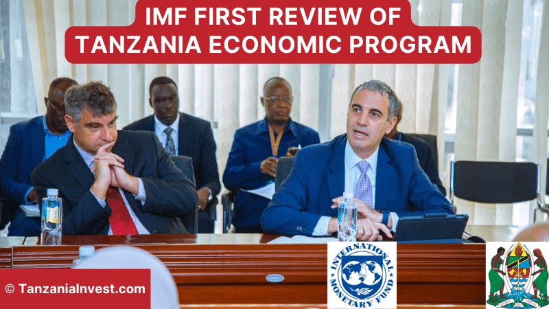 IMF Tanzania Economic Review February 2023