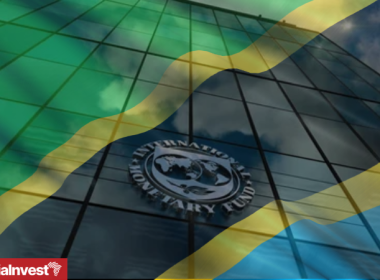 IMF Tanzania flag