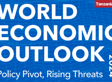IMF WORLD ECONOMIC OUTLOOK Report (WEO) October 2024 Tanzania