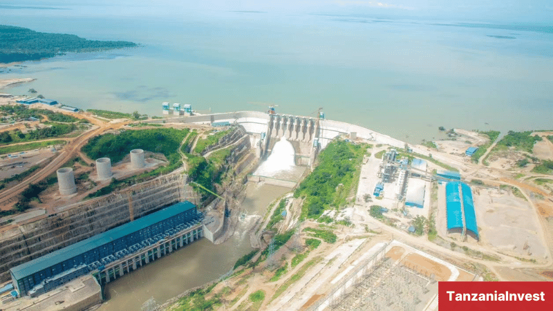 Julius Nyerere Hydropower Station (JNHPP)