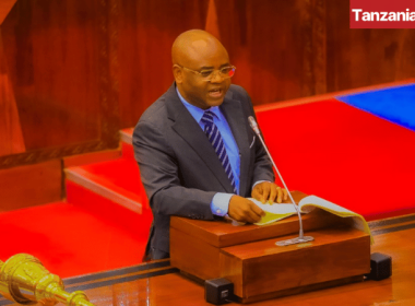 Kitila Mkumbo Parliament Bunge
