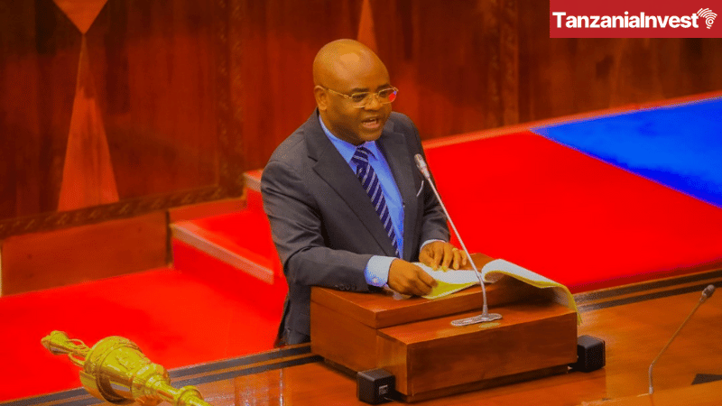Kitila Mkumbo Parliament Bunge