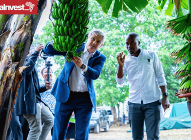 Lord Wanley TAHA Tanzania Horticulture Duty Free Access to UK