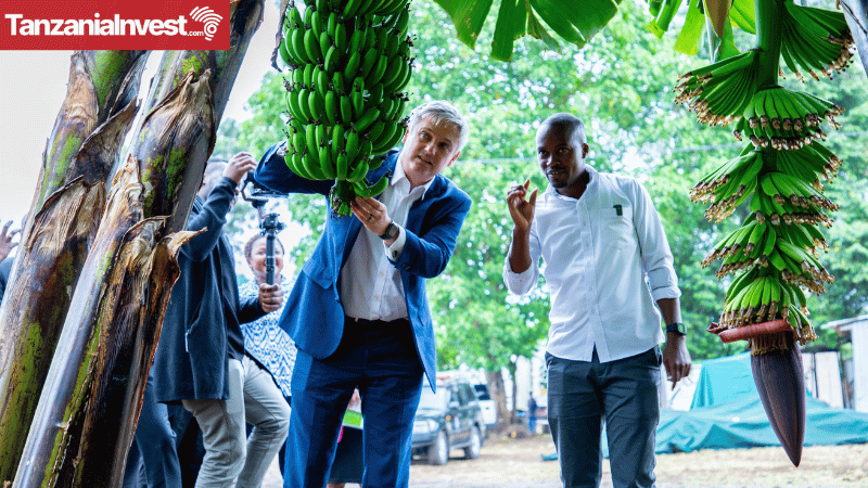 Lord Wanley TAHA Tanzania Horticulture Duty Free Access to UK