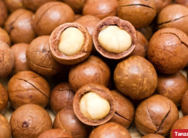 Macadamia Nuts