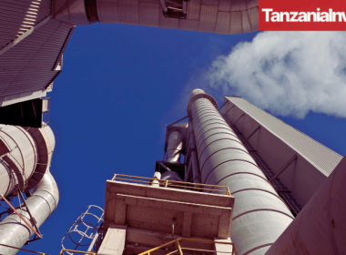 Mbeya Cement Tanzania Sale