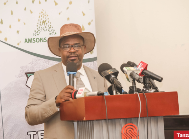 Mchechu at the US$ 320 million agreement with Amsons for Mbeya expansion and new Tanga plant