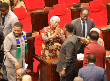 Minister Ummy Mwalimu at Tanzania Healthcare Bill's passing session