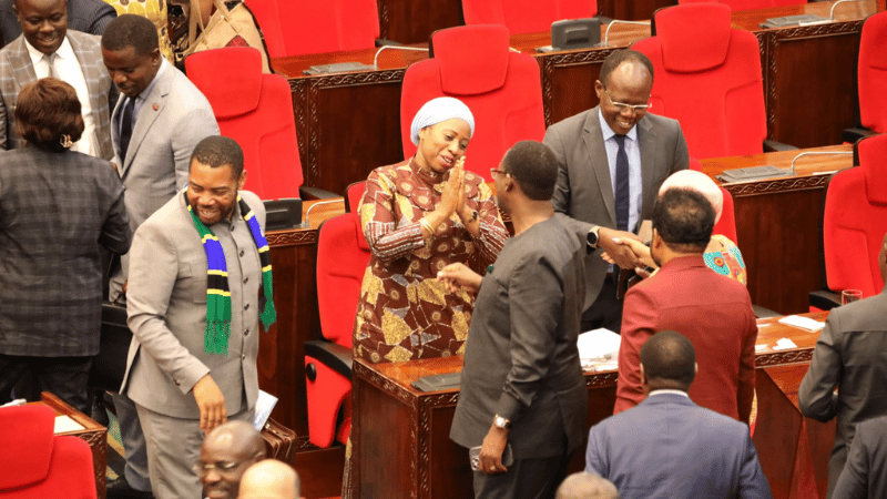 Minister Ummy Mwalimu at Tanzania Healthcare Bill's passing session
