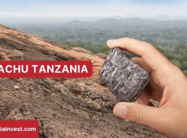 Nachu Graphite Tanzania AAM