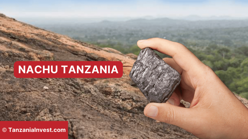 Nachu Graphite Tanzania AAM