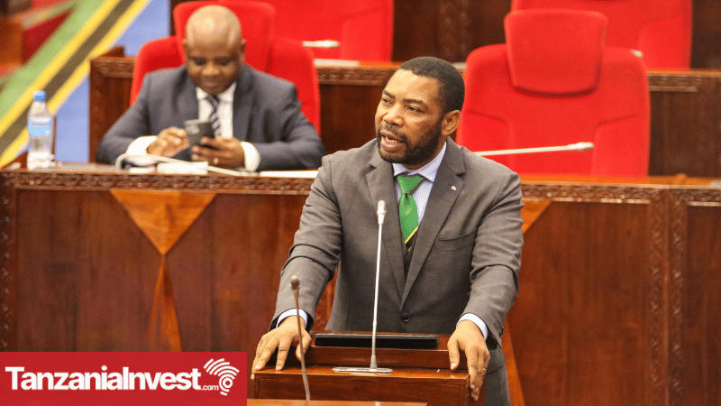Tanzania Finance Minister Nchemba Presenting the Draft Budget for 2024-2025