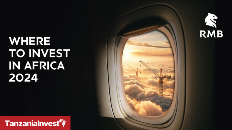 Tanzania ranked 12th in Africa for investment in RMB 2024 report