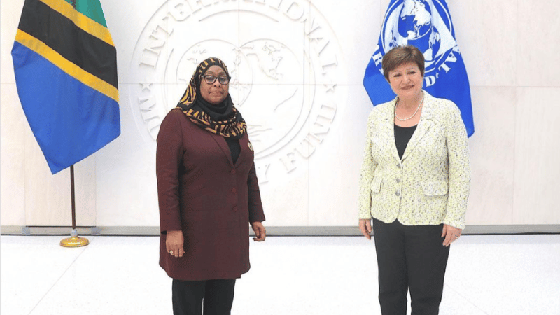Samia Suluhu Hassan with Christalina Georgieva from IMF
