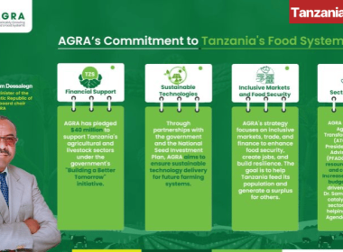AGRA support to Tanzania agriculture