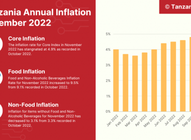 Tanzania Annual Inflation November 2022