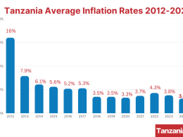 Tanzania Average Inflation Rates 2012-2024