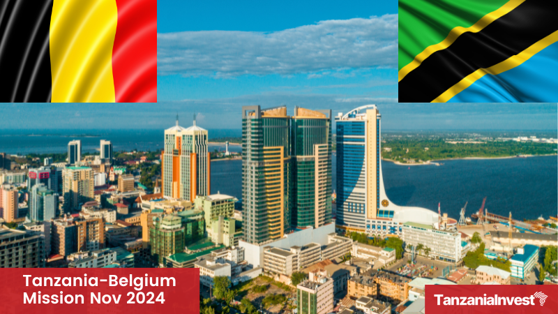 Tanzania-Belgium Mission November 2024