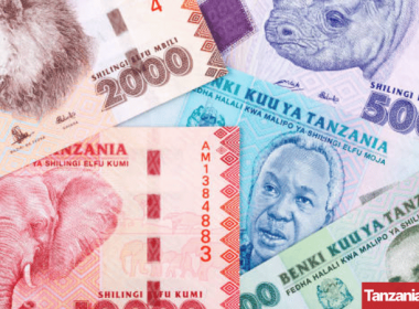 Tanzania Credit to Private Sector