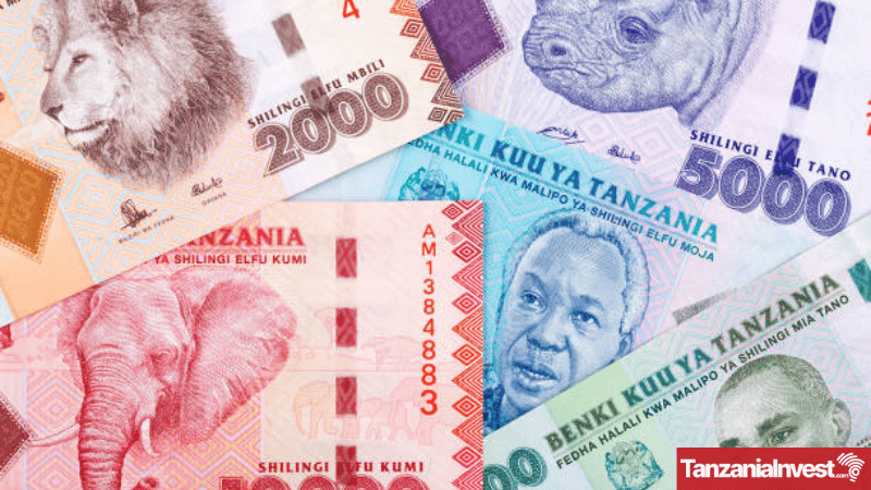 Tanzania Credit to Private Sector