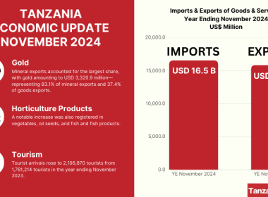TANZANIA ECONOMIC EXPORTS UPDATE NOVEMBER 2024
