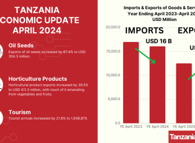 TANZANIA ECONOMIC UPDATE APRIL 2024