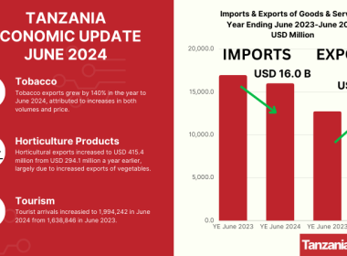 TANZANIA ECONOMIC UPDATE JUNE 2024