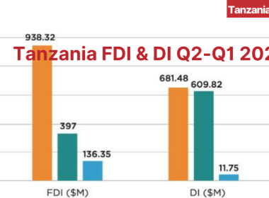 Tanzania FDI + DI Investments Q2 2024