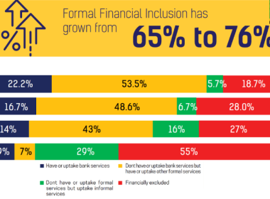 Tanzania Financial Inclusion 2023